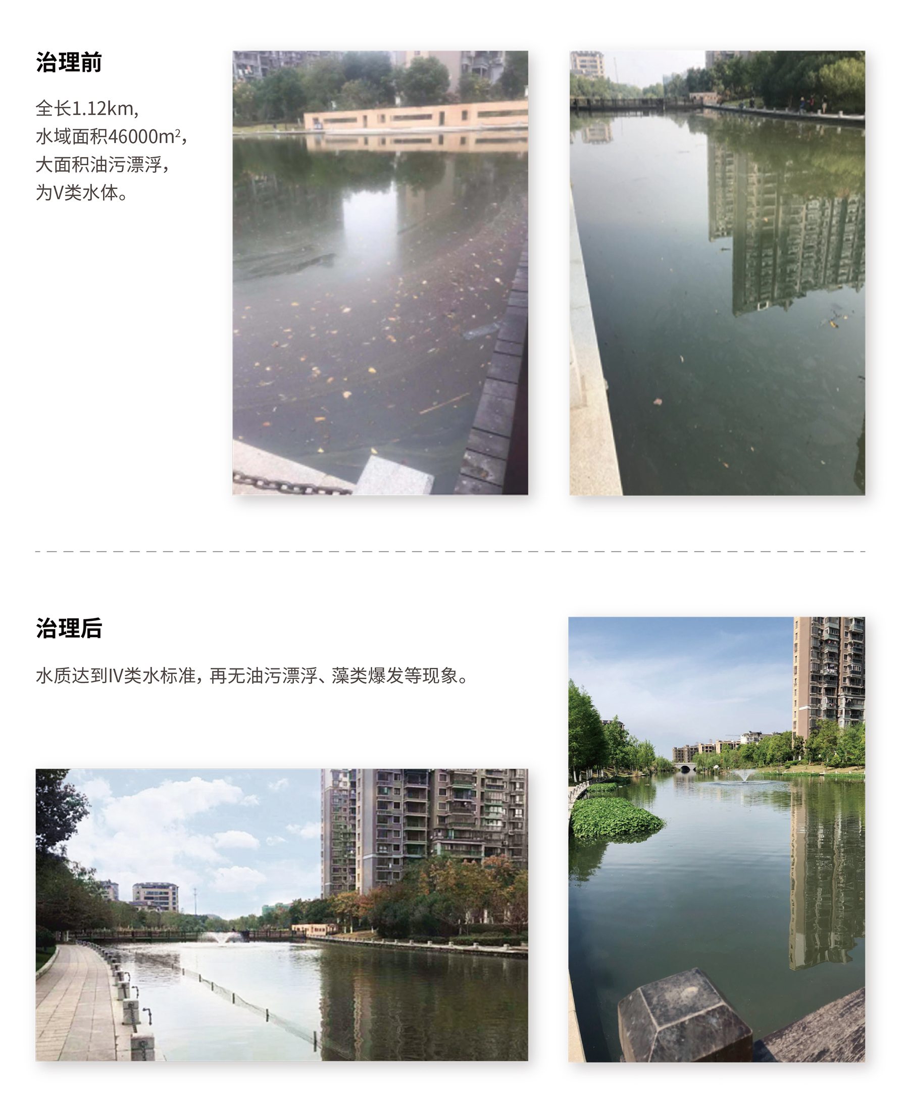 城市內河水生態治理案例